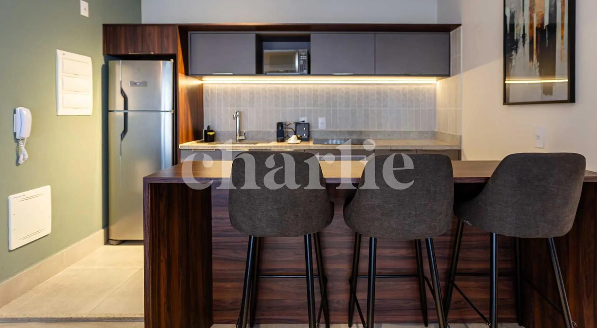 Iconyc House Of Charlie Apartment Sao Paulo Brazil